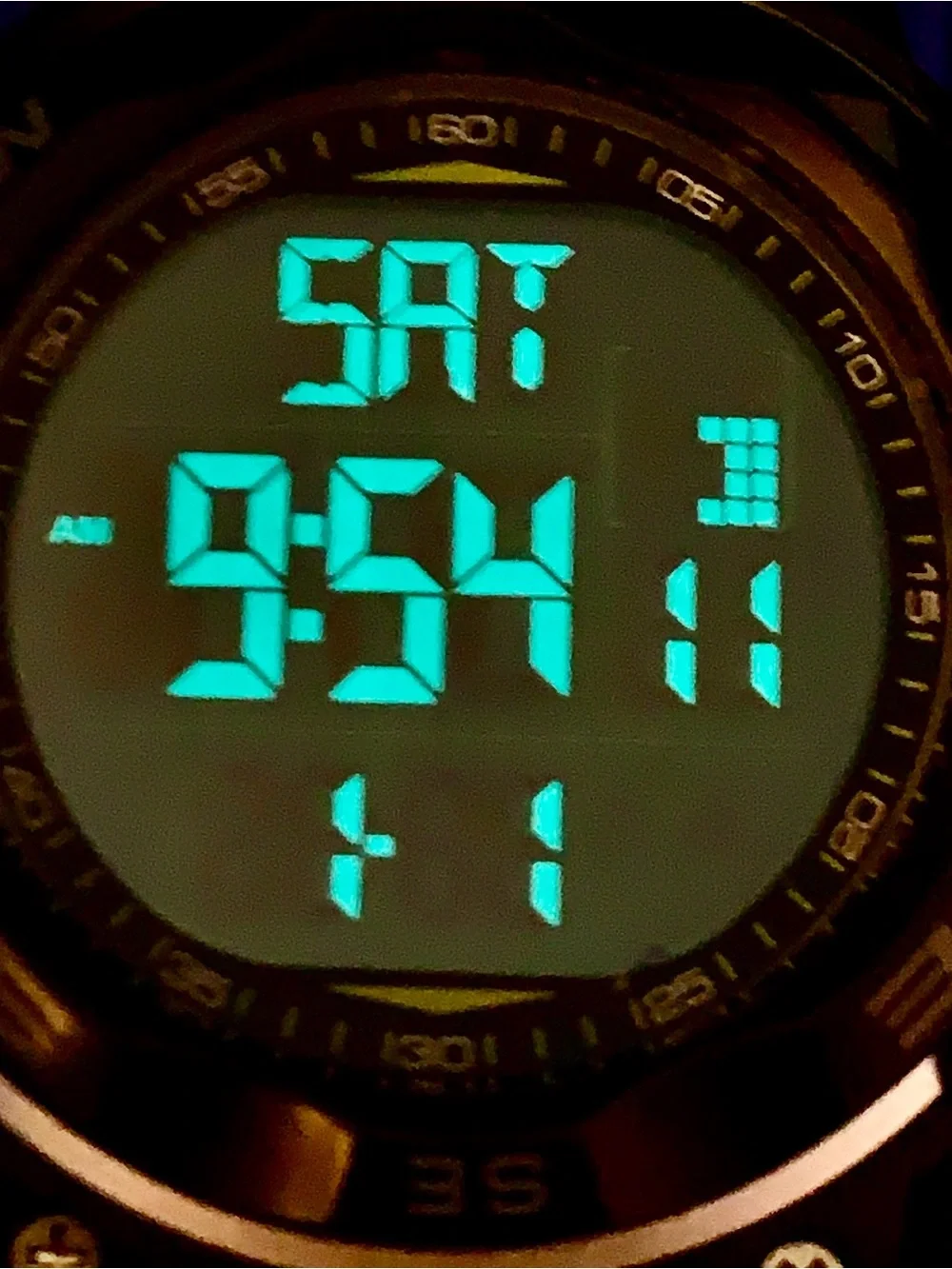 Armitron pro sport
